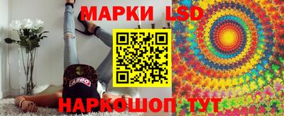 шишки Бузулук
