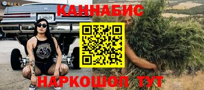 ешки Будённовск