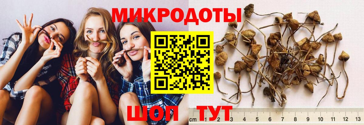 Галлюциногенные грибы Cubensis Ростов Великий